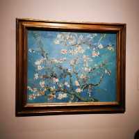 Swirls of Color and Soul: Van Gogh Museum Reflections