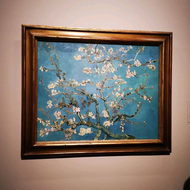 Swirls of Color and Soul: Van Gogh Museum Reflections