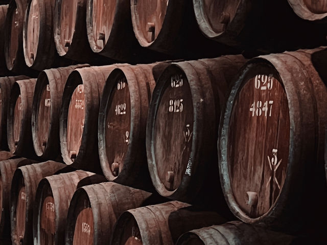 Taylor’s Port — 一場釀製的邂逅