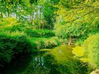 Garden Dreams & Gourmet Scenes at Le Manoir