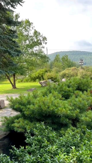 Hotel Mountain Brook