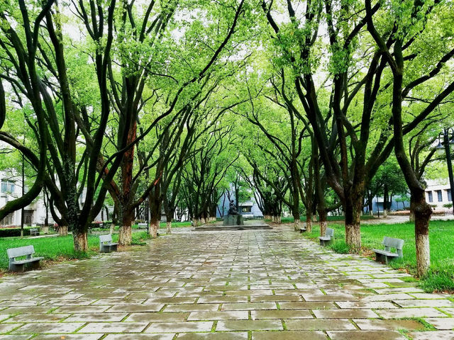 🎓 Jiangxi University of Finance & Economics (JUFE) – Nanchang