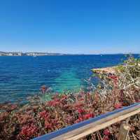 beautiful ibiza