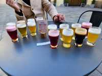Craft beer tasting in Bratislava