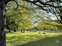 Visit Southampton this summer!