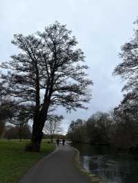 Southampton Serenity: Yoga + Run in Nature