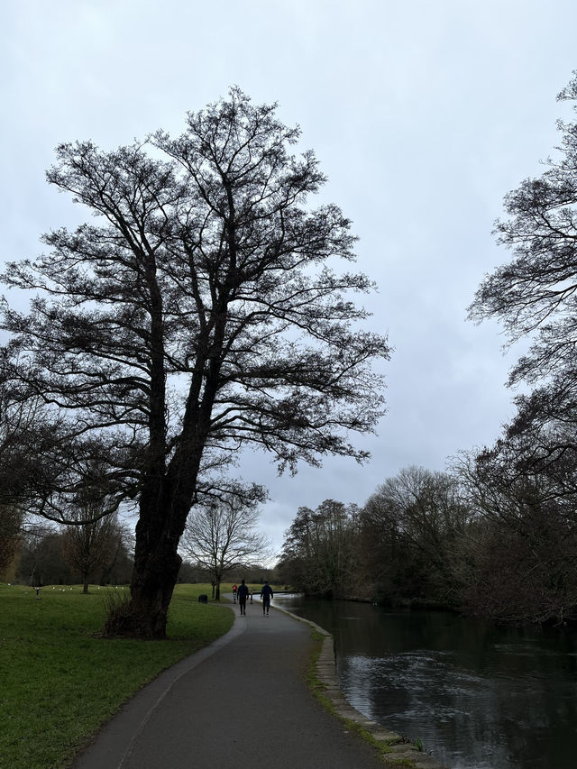 Southampton Serenity: Yoga + Run in Nature
