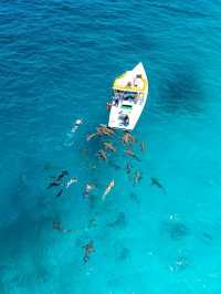 Maldives Snorkeling: Dive into a Colorful Underwater Paradise