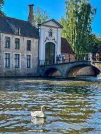 Bruges: A Fairytale Canal City Frozen in Time