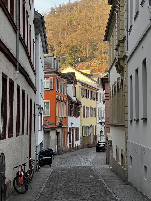 Wandering through Heidelberg feels like stepping into a storybook 🏰