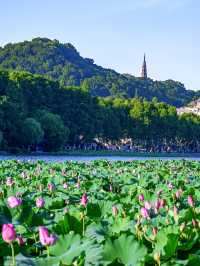 West Lake Wonders: A Day of Serenity in Hangzhou