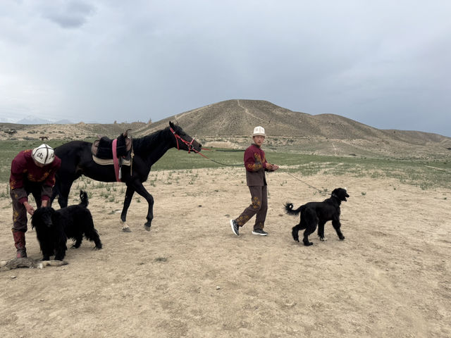 Wild Encounters: A Kyrgyzstan Summer Adventure