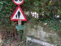 Highlights of my recent visit to Dawlish 