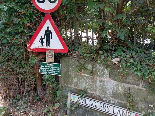 Highlights of my recent visit to Dawlish 