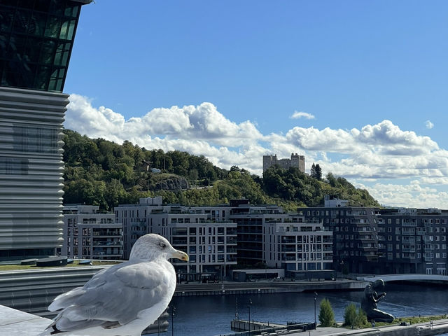Next station, Welcome to NORWAY! Next station, Welcome to NORWAY!