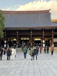 Japan Itinerary 10: Ready for a high-energy Tokyo adventure