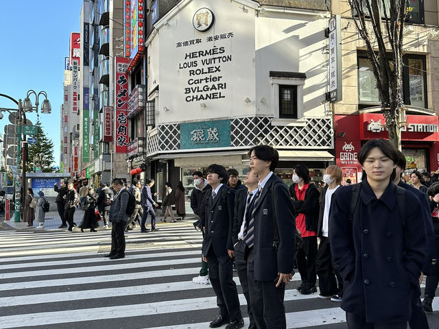 Two iconic cities, endless neon: Tokyo x Kyoto Review