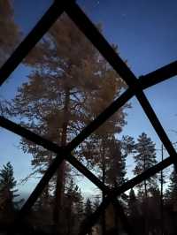 Finland | Stay in a glass igloo and enjoy the night 