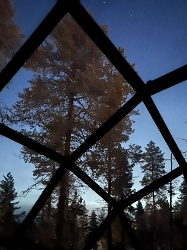 Finland | Stay in a glass igloo and enjoy the night 