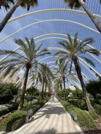 🌆 Ciudad de las Artes y las Ciencias: Valencia’s Futuristic Marvel ✨🏛️🌊
