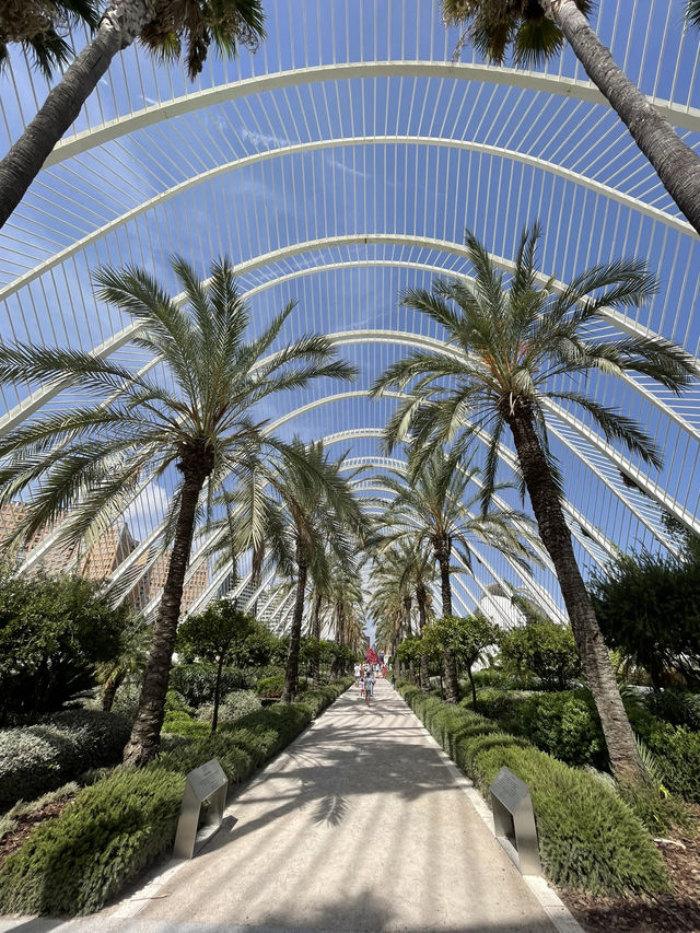 🌆 Ciudad de las Artes y las Ciencias: Valencia’s Futuristic Marvel ✨🏛️🌊 🌆 Ciudad de las Artes y las Ciencias: Valencia’s Futuristic Marvel ✨🏛️🌊