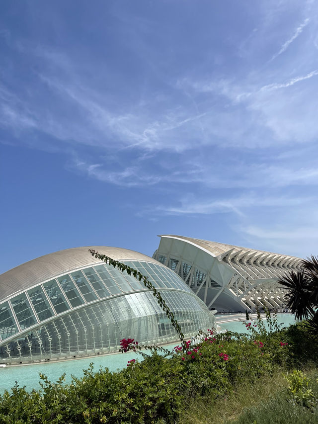 🌆 Ciudad de las Artes y las Ciencias: Valencia’s Futuristic Marvel ✨🏛️🌊 🌆 Ciudad de las Artes y las Ciencias: Valencia’s Futuristic Marvel ✨🏛️🌊