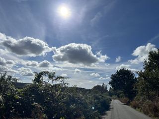 Dartmoor National Park, on the outskirts of Plymouth, has always been a popular nature photo hotspot in the South West of England. It’s about a 40-minute drive from Plymouth and you can easily throw yourself into the arms of nature.

💡Recommended Route:
It is generally recommended to start from Princetown, which has easy parking facilities and a visitor service center, and then walk along the Two Bridges, with plenty of open fields and ancient boulders along the way, especially suitable for searching for wild mushrooms in autumn and winter, keeping an eye on grassland and undergrowth along the way. The whole route takes about 2-3 hours and can be adjusted freely.

✨Must-play items:
1. Look for wild mushrooms: Dartmoor is a famous hotspot for wild mushroom distribution in the UK, most prosperous in autumn, remember to only enjoy or take pictures, do not randomly pick unknown varieties.
2. Take pictures of the misty wilderness and strange rocks: the most iconic ones are Haytor Rock, Wistman's Wood Mysterious Forest, recommended to visit.
3. Wildlife viewing: There are opportunities to see wild horses, sheep and various birds on the way.

📸 Must-visit check-in spot:
- Haytor Rock: High terrain offers distant views of the valley, excellent photography.
- Wistman’s Wood: South West England’s oldest moss forest with a mysterious atmosphere.
- Postbridge Ancient stone bridge: full of history, beautiful scenery all around.

🔖 Itinerary Tips:
1. Waterproof hiking shoes are highly recommended, some sections are muddy.
2. With heavy fog in autumn and winter, plan your route in advance to avoid getting lost by downloading the official map of Dartmoor National Park.
3. There are many kinds of wild mushrooms, do not know if you do not forage, safety is paramount.
4. If driving, it is recommended to leave in the morning, the visibility in the mountains is poor in the evening.
5. The weather in the mountains is changeable, remember to bring a jacket and simple dry food.

⚠️ Notes:
- Find parking in advance during peak seasons (special weekends and school holidays).
- Uncovered mountainous areas, easy to get wet in rain or heavy fog, equipment must be complete.
- Nature conservation site, all garbage must be taken away, do not destroy the environment.

The Dartmoor National Park itinerary is really comfortable, with fresh air, looking at the varied landscapes, wildlife and mysterious forests, plus stunning wilderness photo spots, perfect for a short day trip or weekend relaxation. If you want to breathe some real nature, a departure from Plymouth to Dartmoor is definitely worth putting on the itinerary!

Topic:
#PlymouthOutdoors #DartmoorExploration #WildMushrooms #NatureWalking #UK Trekking