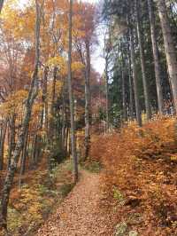 Autumn in Romania: A Golden Escape 🇷🇴