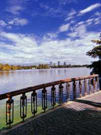 King Michael’s park 