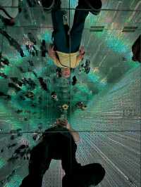 Teamlabs borderless the on the edge of imagination