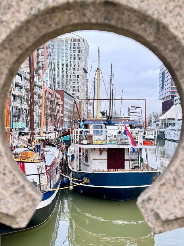 Rotterdam at Christmas – Recommendations for What to Visit (with a festive touch)