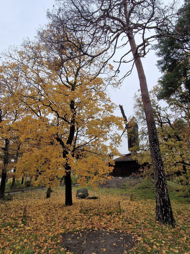 🍁 Autumn at Skansen – A Living Tapestry of Nordic Nature 🌿🧡 🍁 Autumn at Skansen – A Living Tapestry of Nordic Nature 🌿🧡
