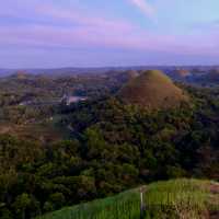 Шоколадные холмы Бохола