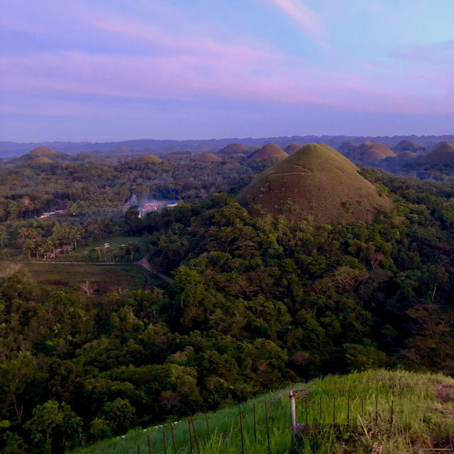 Шоколадные холмы Бохола