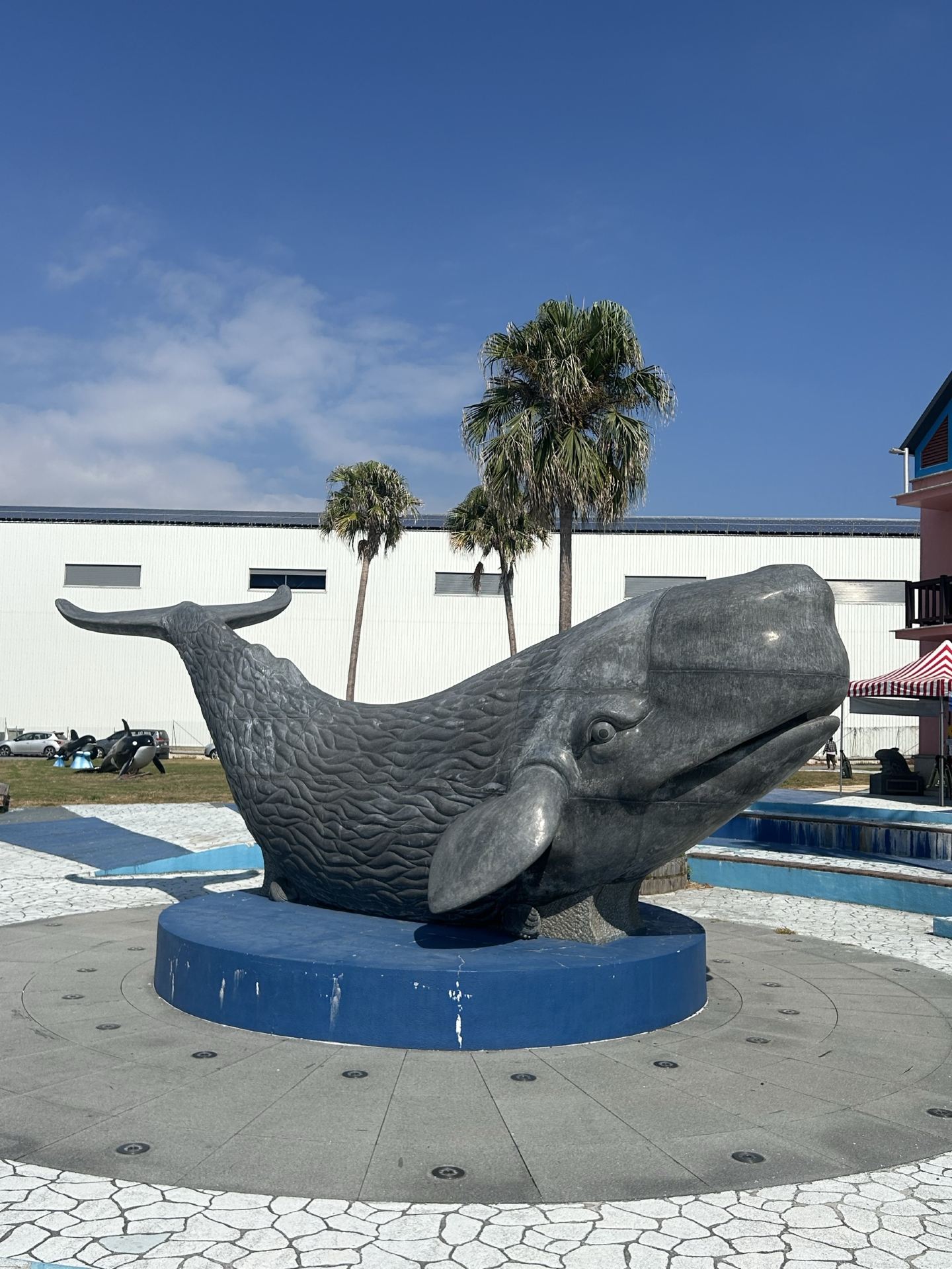 I bought a whale watching ticket (Hualien Harbor) from Trip.com to experience the beauty of dolphins up close.