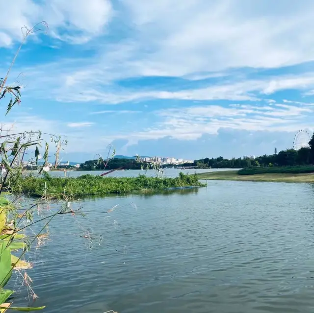 打卡廣州白雲湖公園