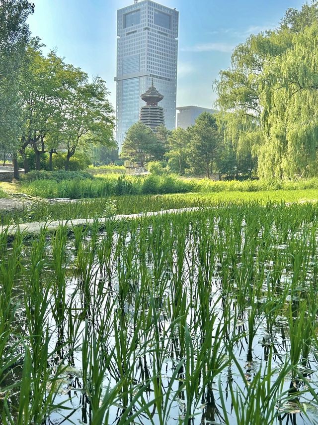 Atypical Beijing 