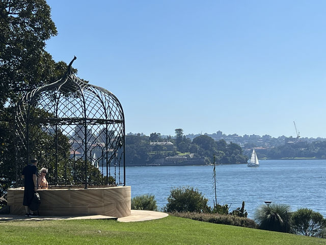 Cool off at the Royal Botanic Garden Sydney.