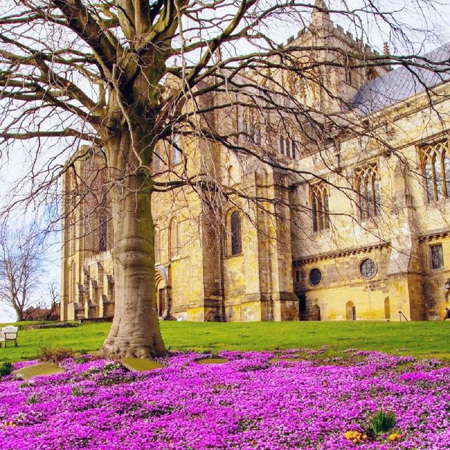 Colorful spring 🍀 - Yorkshire