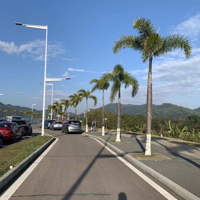 打卡珠海淇澳島