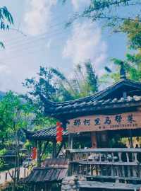 Tea Horse Road, Nake Li