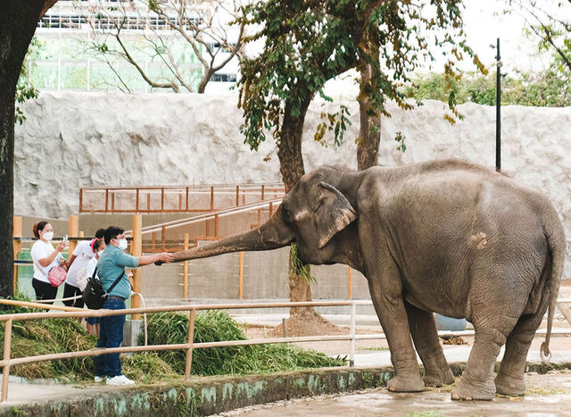 Family outing at Manila Zoo 🐘