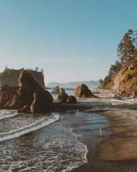 Olympic National Park: Nature's Epic Symphony of Beauty and Adventure