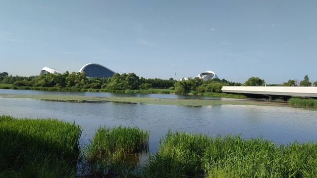哈爾濱文化中心濕地公園