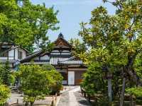 🌟🐒 "猿踊庭園：嵐山のアドベンチャー攻略！" 🌟