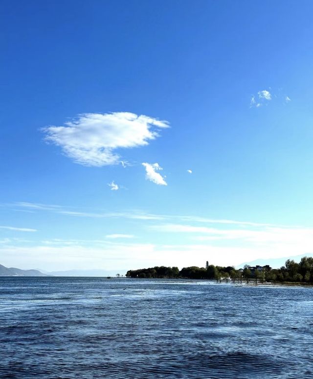 雲南海之味道,海舌生態公園入園必選