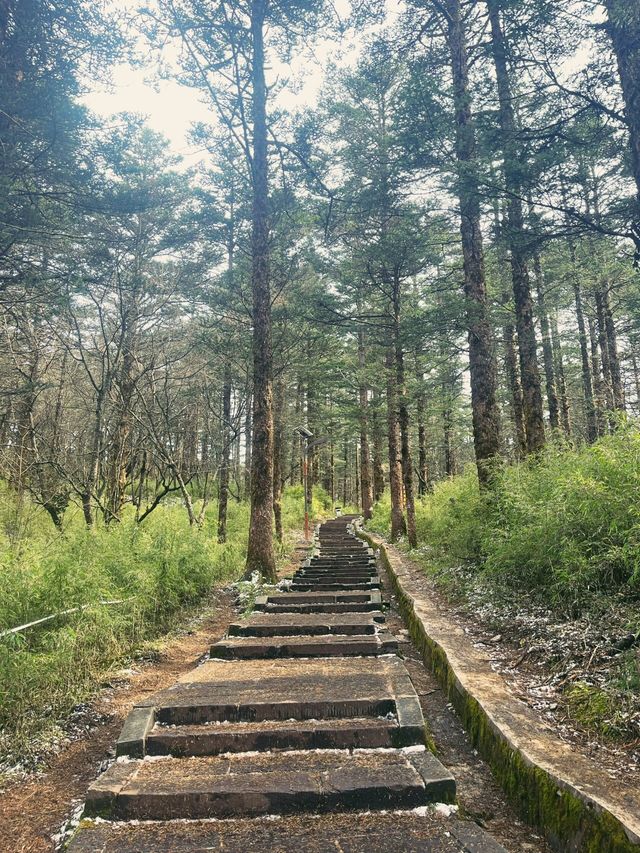 四川峨眉山五天旅遊攻略