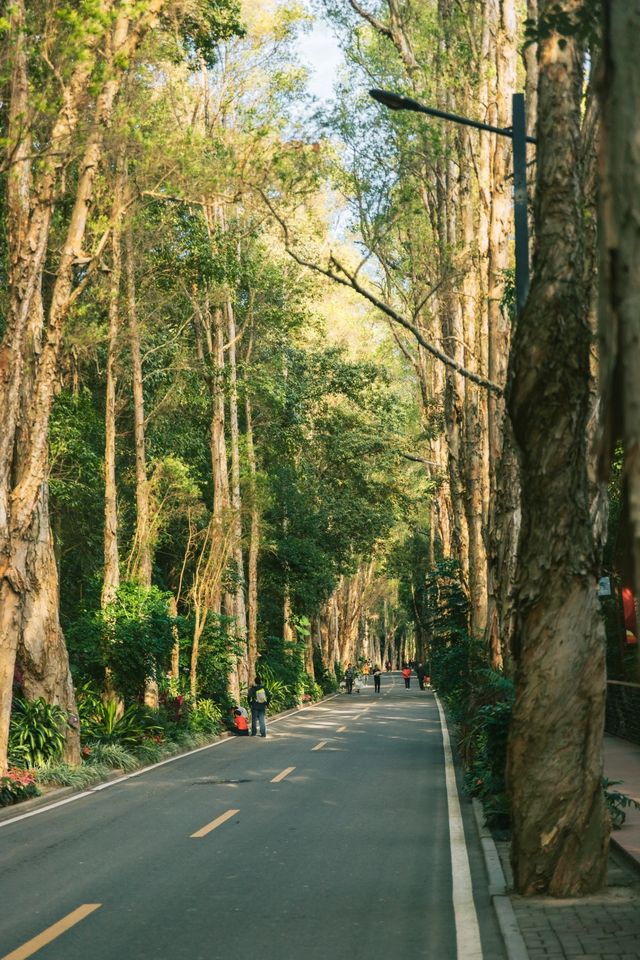 福州國家森林公園的遊玩推薦