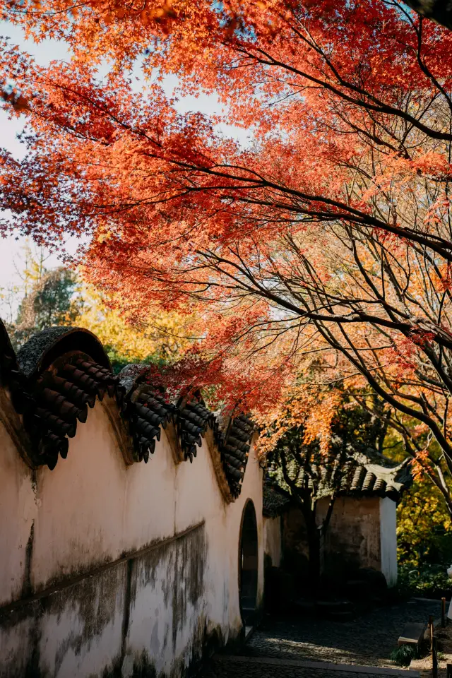 Suzhou·Tiger Hill|The colorful walkway in front of the Cold Fragrance Pavilion