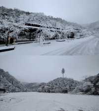 永州雙牌陽明山｜霧淞美如仙境，雲霧繚繞間散發出神秘而寧靜